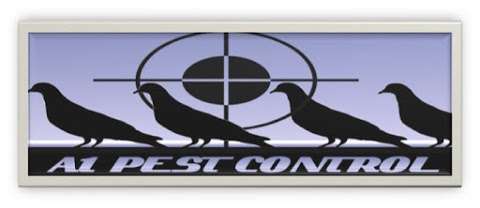 Photo: Pigeon Pest Control - Newcastle